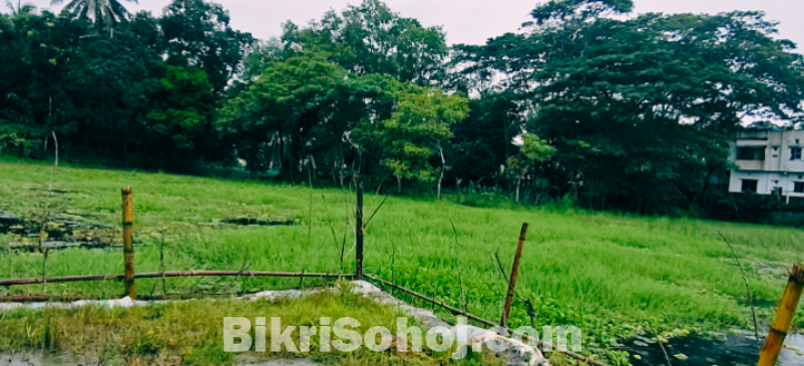 বিনিয়োগের জন্য দারুণ সুযোগ,  কম দামে জমি কিনুন।